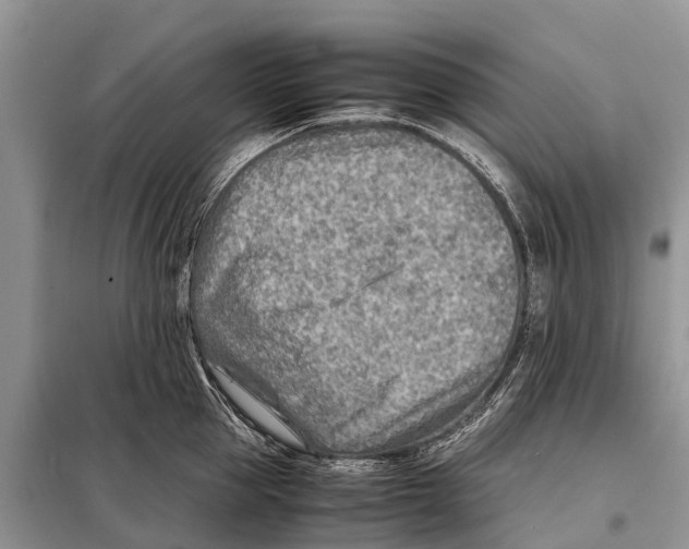 X0000097900953200804111041