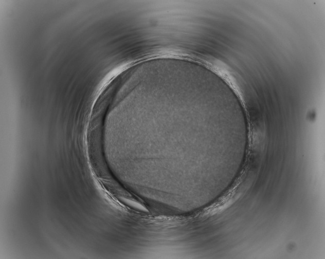 X0000097900954200804111041