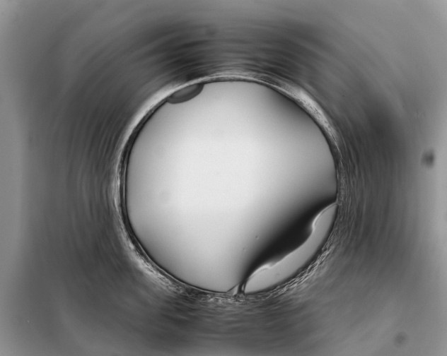 X0000097900955200804111041