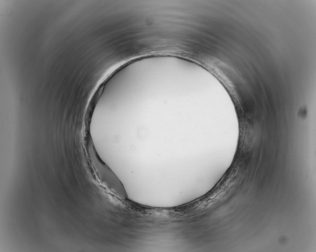 X0000097900956200804111041