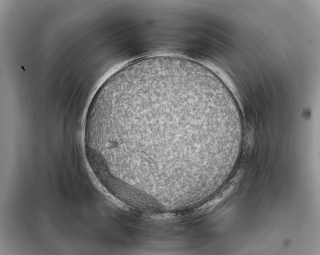 X0000097900957200804111041