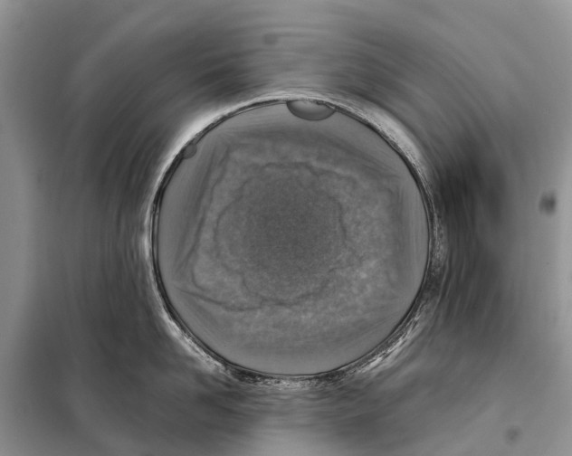 X0000097900958200804111041