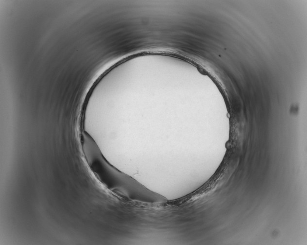 X0000097900959200804111041