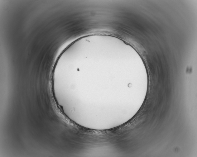 X0000097900960200804111041