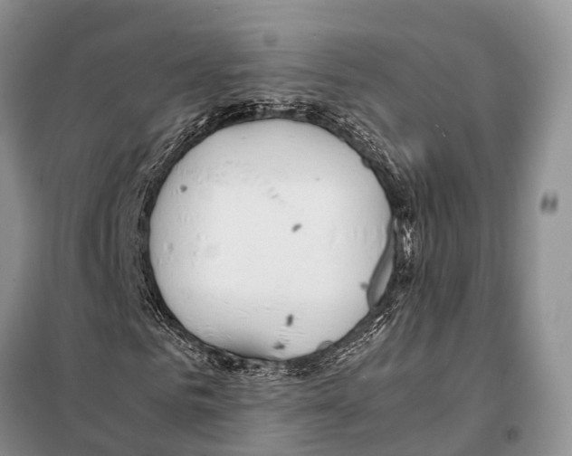 X0000097900961200804111040