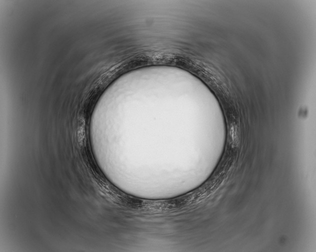 X0000097900963200804111040