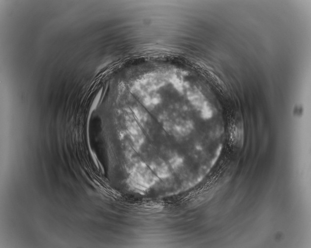 X0000097900964200804111040