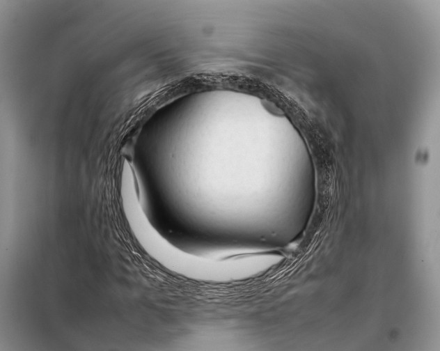 X0000097900965200804111040