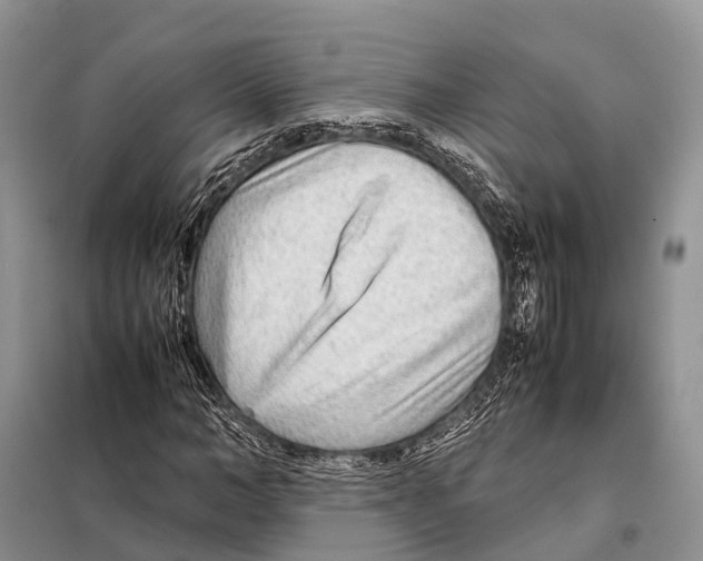 X0000097900966200804111040