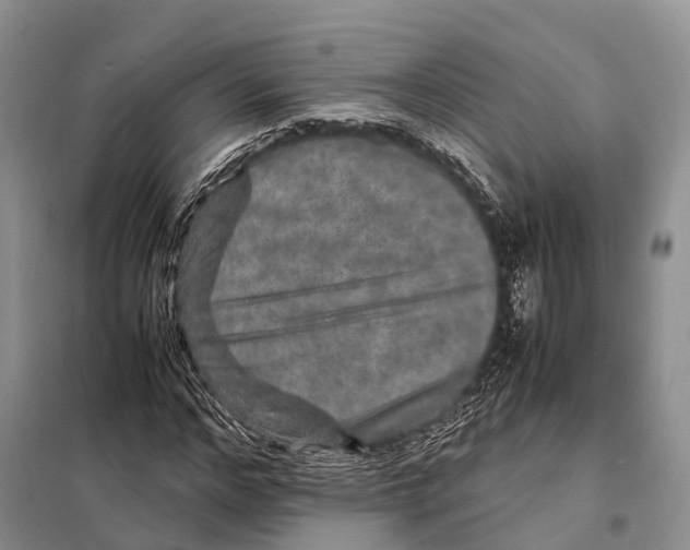 X0000097900968200804111040