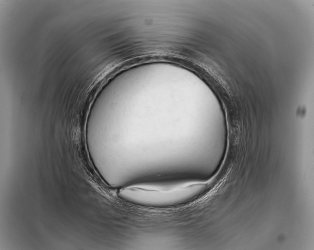 X0000097900969200804111040