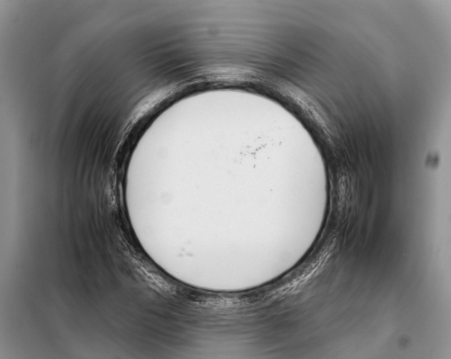 X0000097900970200804111040