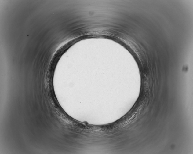 X0000097900971200804111040