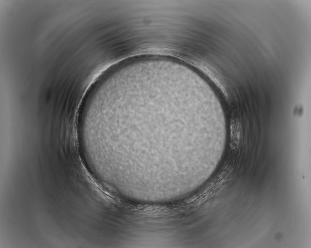 X0000097900972200804111040