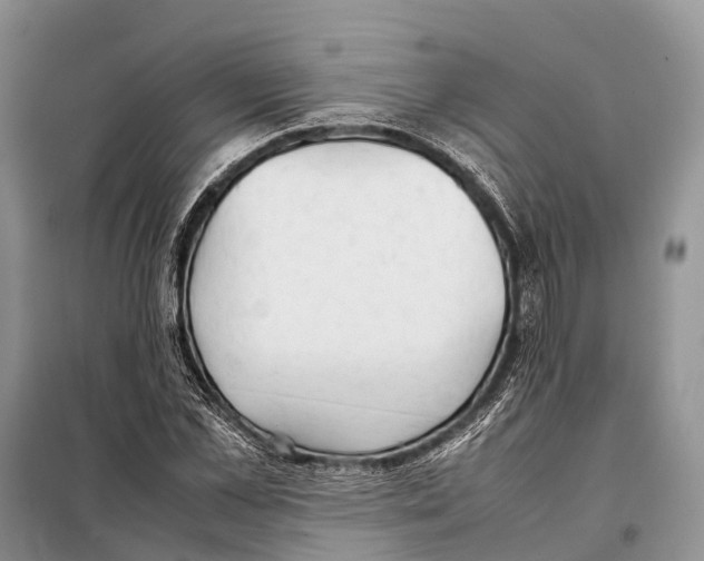 X0000097900973200804111040