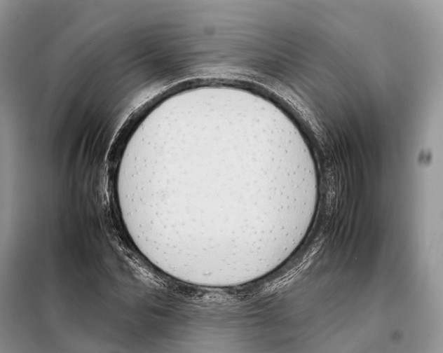 X0000097900974200804111040