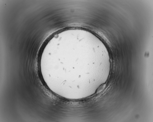 X0000097900976200804111040