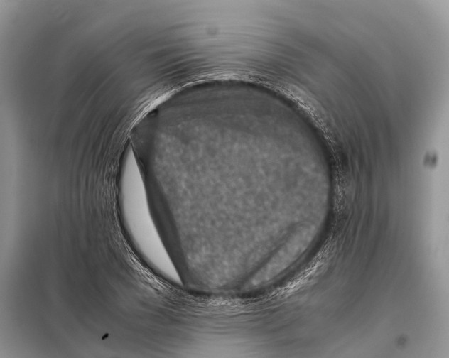 X0000097900977200804111040