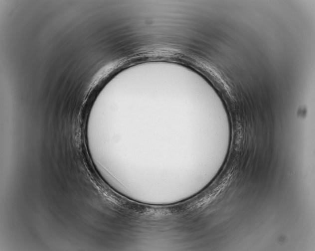 X0000097900978200804111040