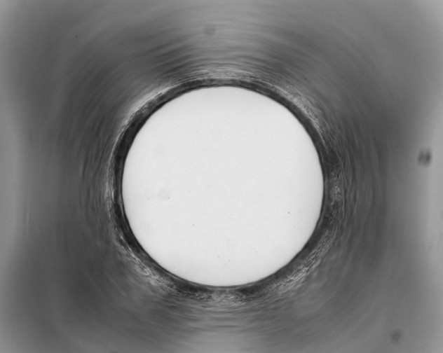 X0000097900979200804111040