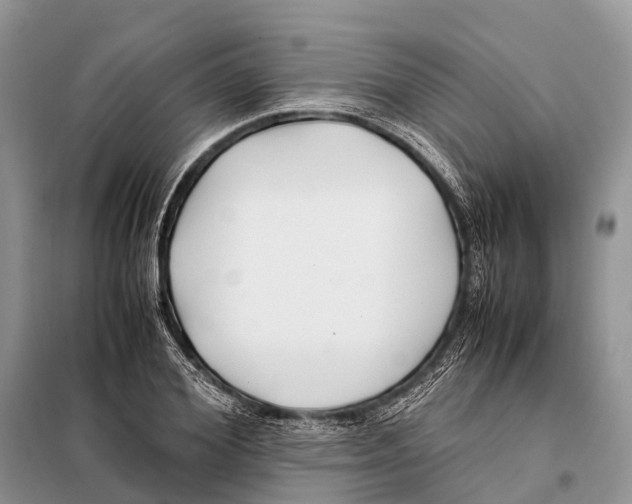 X0000097900980200804111040