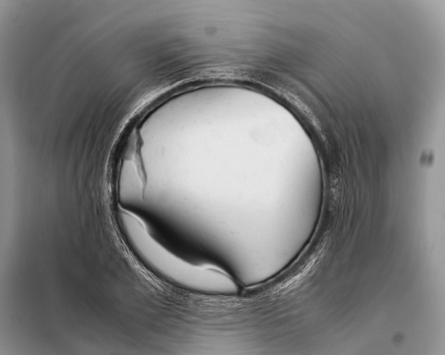 X0000097900981200804111040