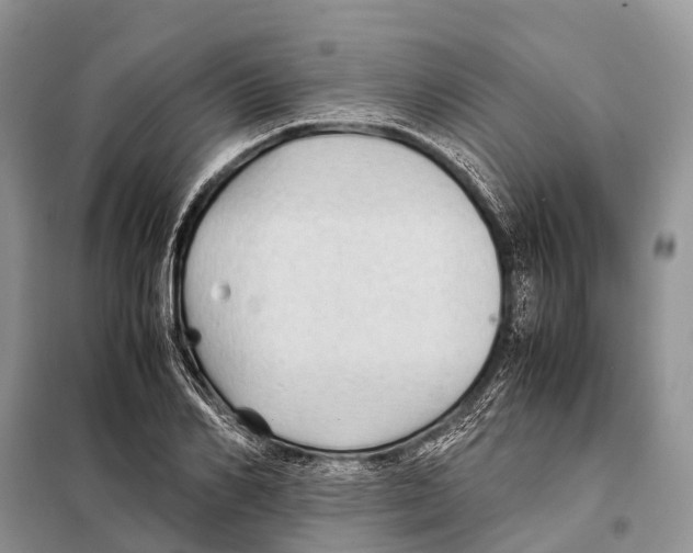 X0000097900982200804111040