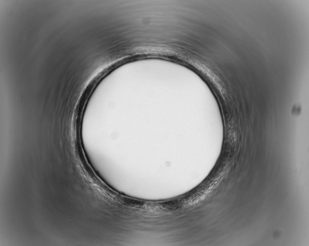 X0000097900983200804111040