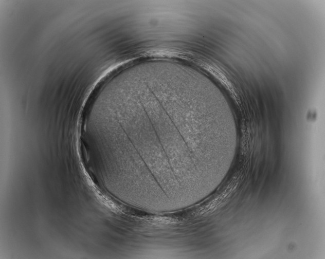 X0000097900984200804111040