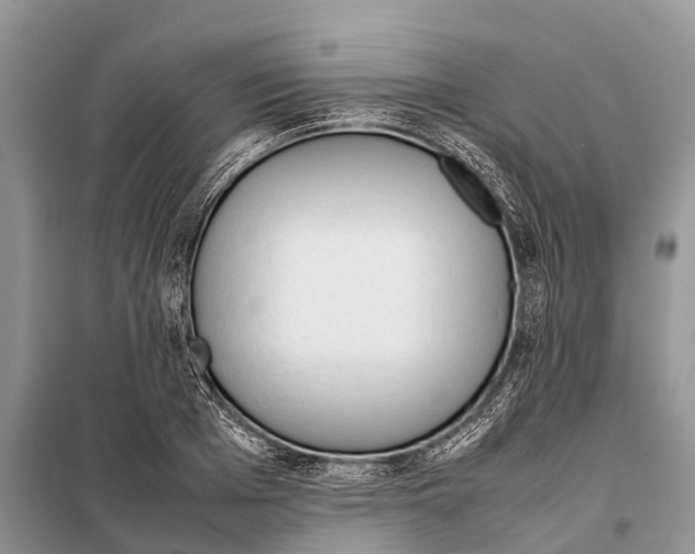 X0000097900985200804111040