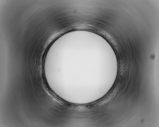 X0000097900986200804111040