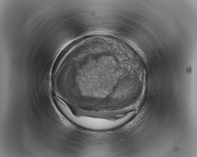 X0000097900988200804111040