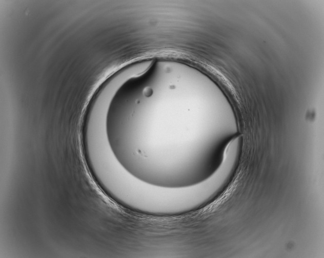 X0000097900989200804111040