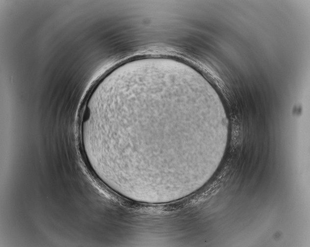 X0000097900990200804111039