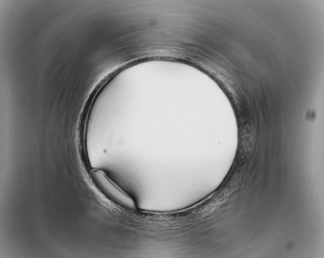 X0000097900991200804111039