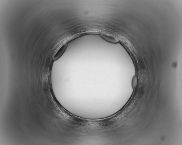 X0000097900993200804111039