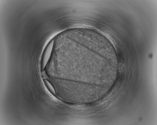 X0000097900995200804111039