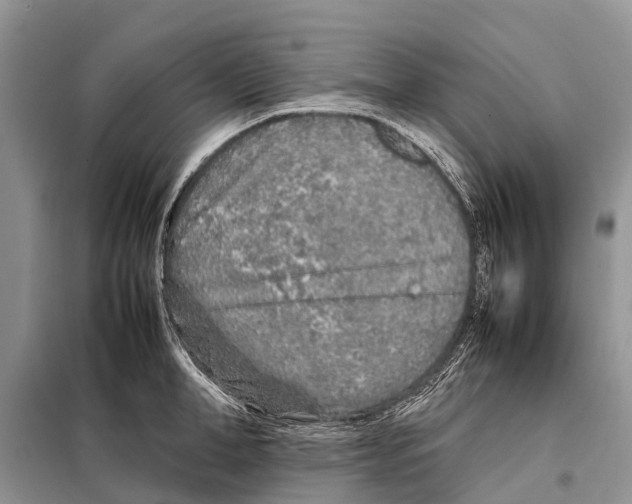 X0000097900998200804111039