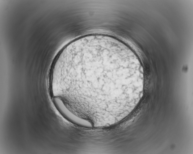 X0000097900999200804111039