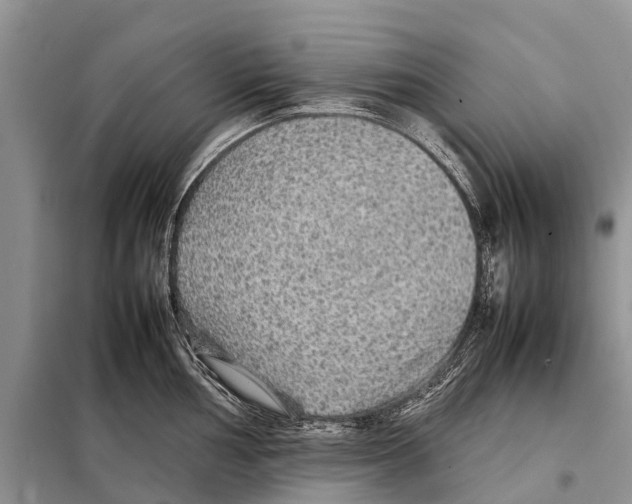 X0000097901002200804111039