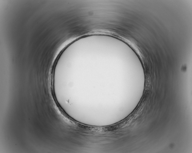 X0000097901003200804111039