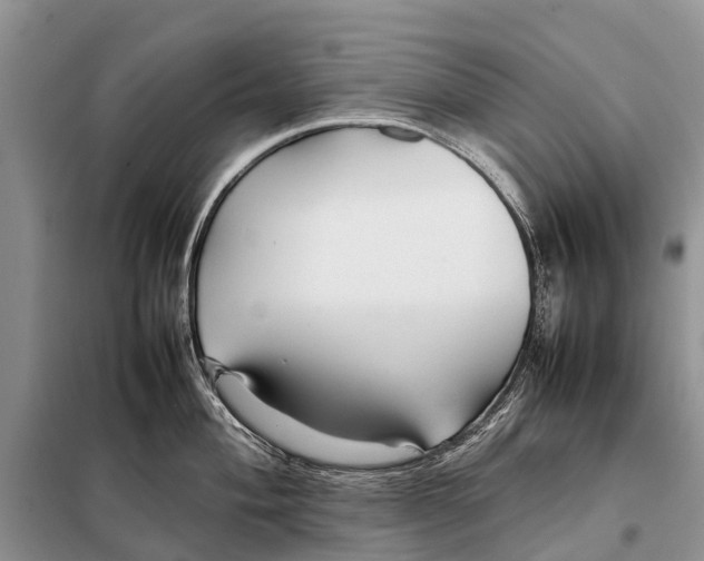 X0000097901004200804111039