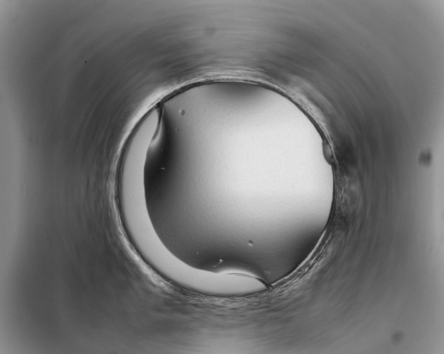 X0000097901005200804111039