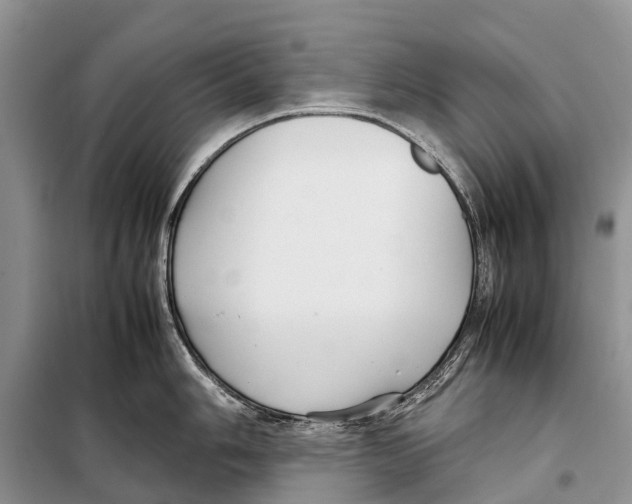 X0000097901006200804111039