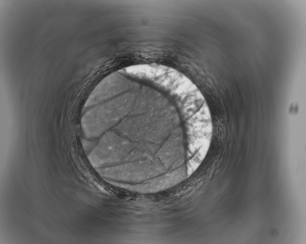 X0000097901009200804111038