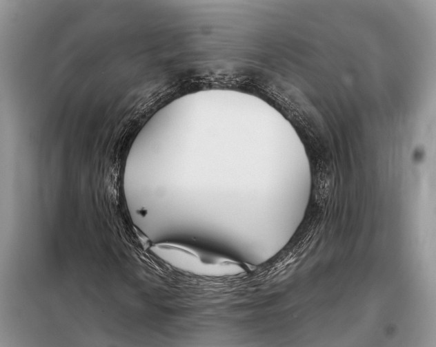 X0000097901010200804111038