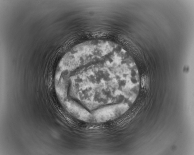 X0000097901011200804111038