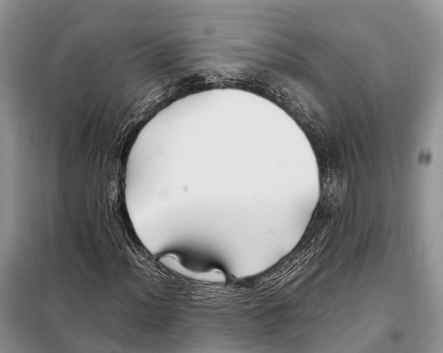 X0000097901012200804111038