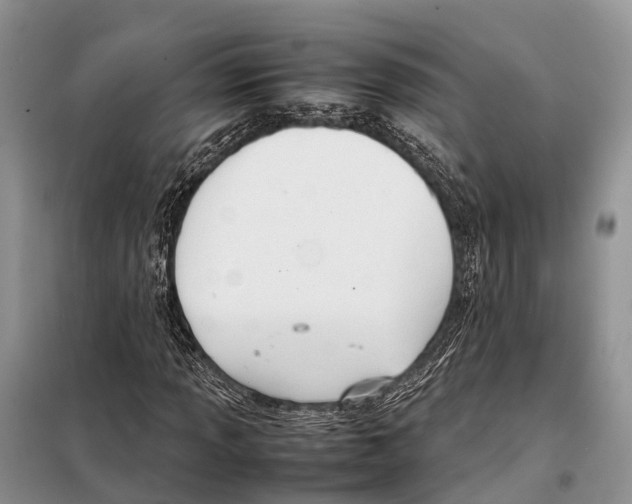 X0000097901013200804111038