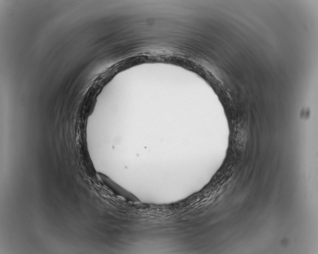 X0000097901016200804111038